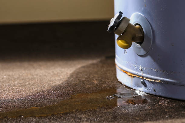 Best Professional water damage repair  in Waseca, MN