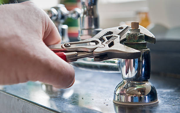 Best Flood damage cleanup  in Waseca, MN
