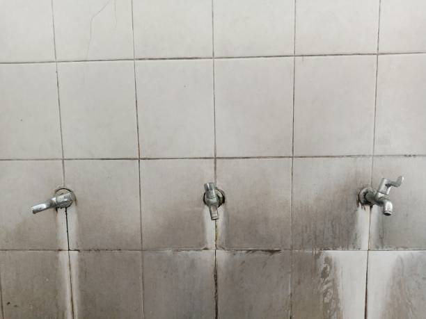 Best Water damage restoration near me  in Waseca, MN